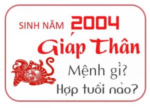 Sinh Năm 2004 Mệnh gì Hợp Tuổi nào Tính cách ra sao Hậu Thiên