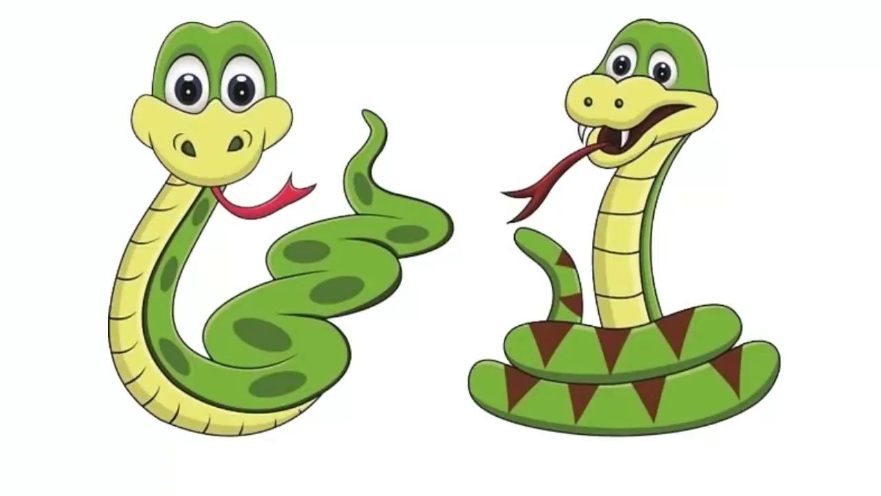 Giải mã giấc mơ thấy rắn: Dự báo điềm lành hay dữ?